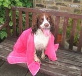 click for a larger view